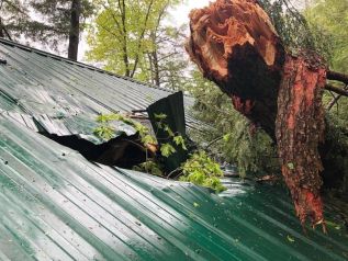 Wind Damage in North Frontenac. Photo submitted by Kathy Young.